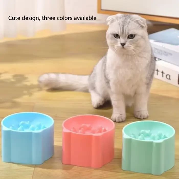 Gamelle surélevée pour chat