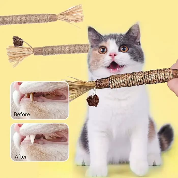 Jouet à mâcher en herbe de cataire pour chat