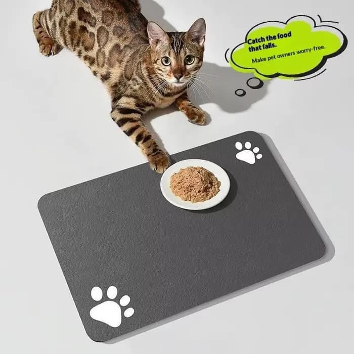 Tapis absorbant en boue de diatomées pour animaux de compagnie