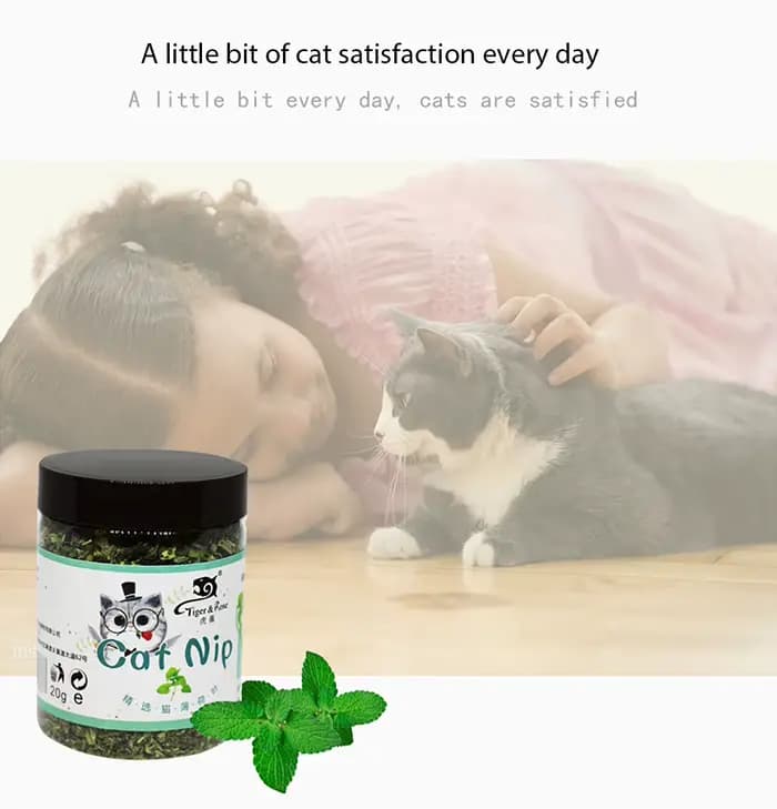 Bio 100% naturel de haute qualité herbe-aux-chats bétail goût de menthe drôle chat jouet nouveau