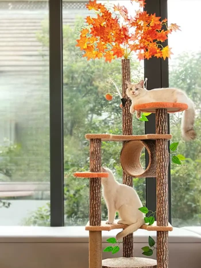 Grand Cadre d'Escalade pour Chat