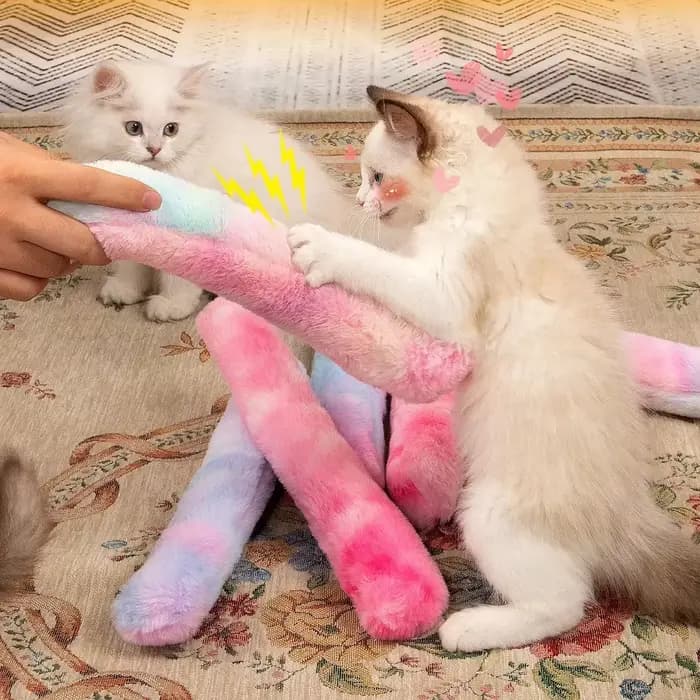 Jouets interactifs à mâcher pour chat