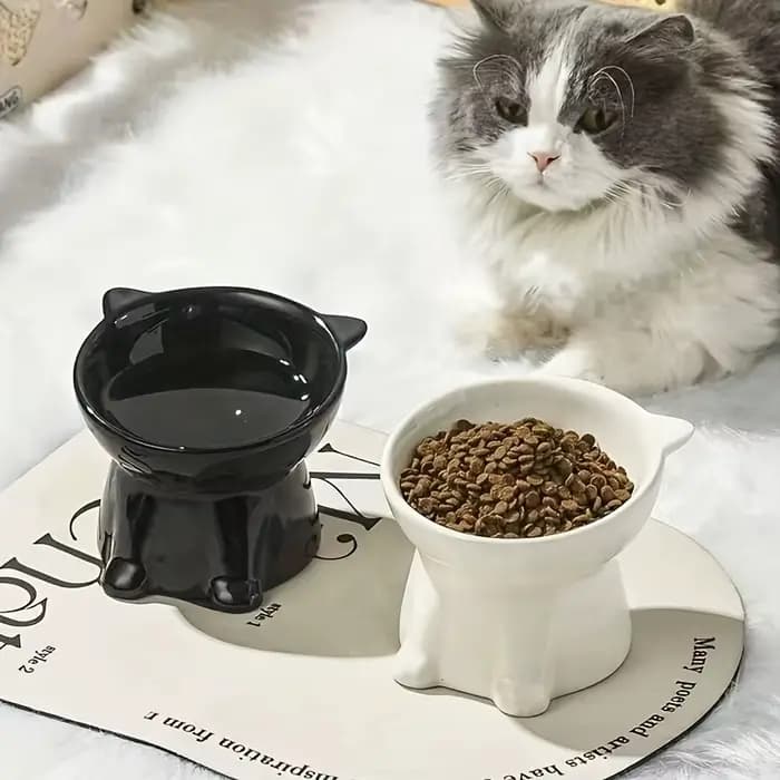 Bol pour chat 1 pièce, plateau Anti-vomissement incliné à 15 degrés