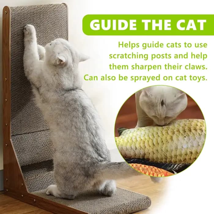 Spray d'herbe à chat pour chats