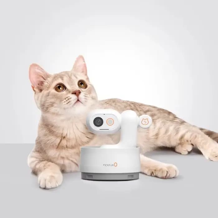 Caméra de vlog pour chat Ai