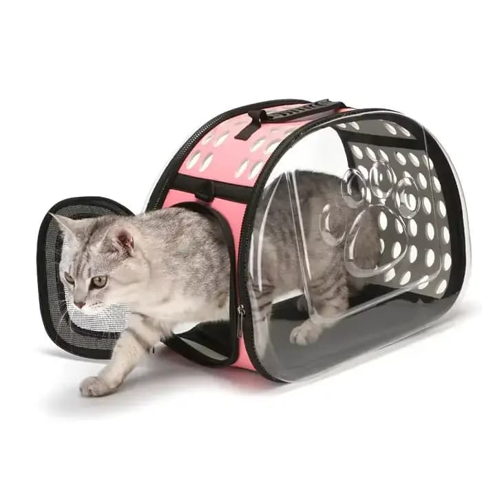 Sac Portable pour chat pour le Transport des animaux de compagnie