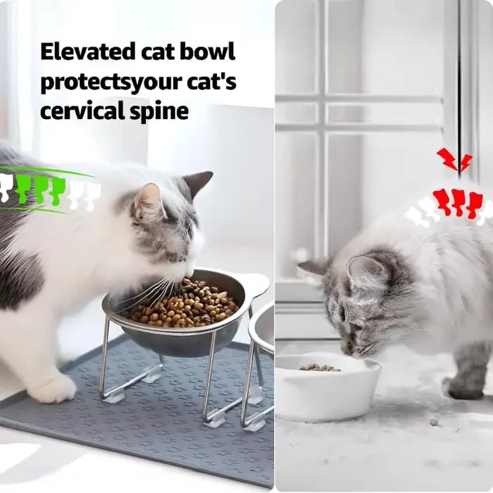  Bol surélevé pour chat en acier inoxydable 304 avec 15 compartiments ° Protège-cou incliné au design élégant