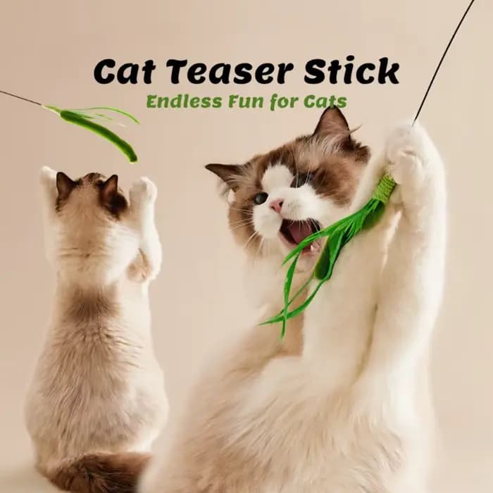 Jouet interactif pour chat : Baguette longue en acier durable avec plumes et fil