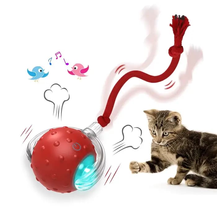 Balle jouet interactive pour chat avec oiseaux