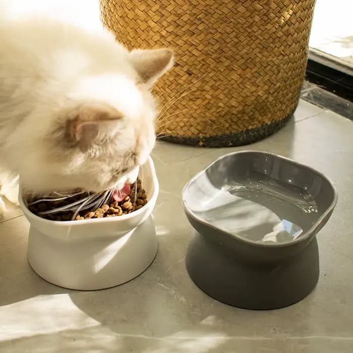 Bols en céramique à pied haut pour animaux de compagnie