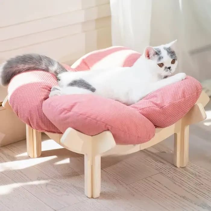 Lit pour chat en bois, petit canapé pour animaux de compagnie d'intérieur