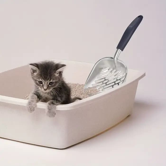 Pelle à litière pour chat