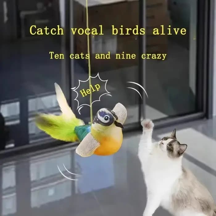Le jouet pour chat émule l'oiseau sonore pour amuser la corde élastique
