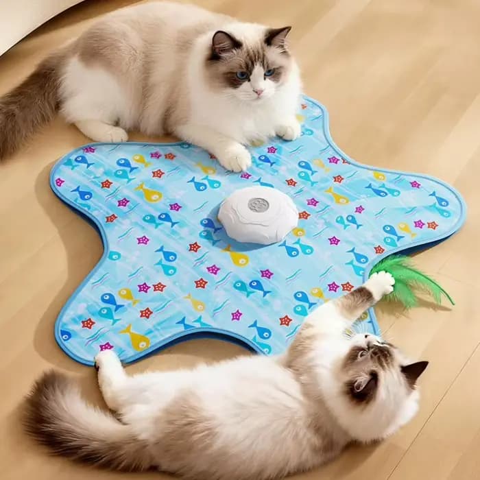 Jouet interactif électrique pour chat : tourne-disque sonore