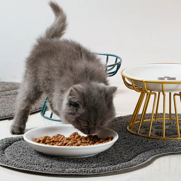 Bol pour chat amable aux moustaches