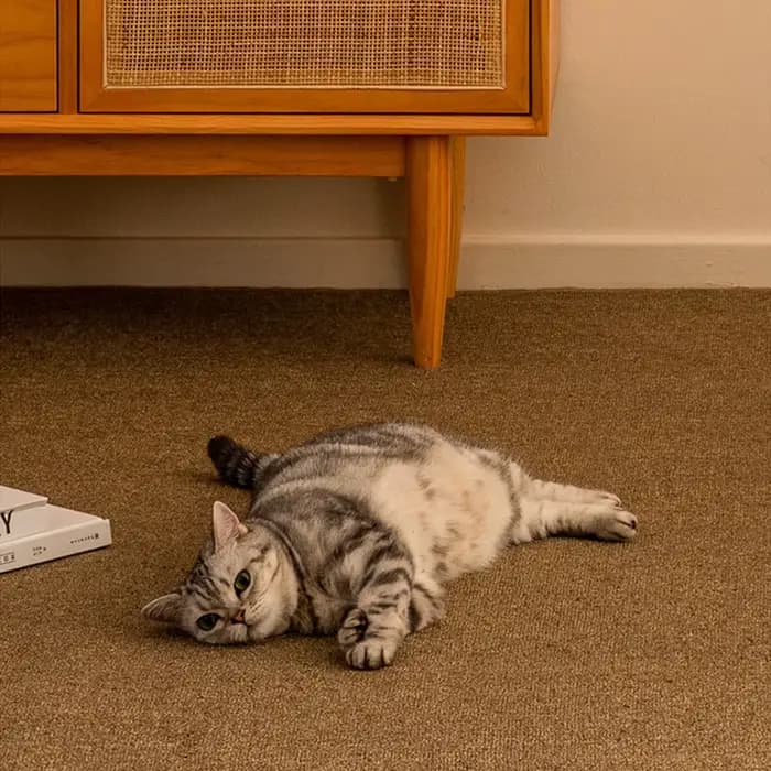 Grand tapis anti-rayures pour chat