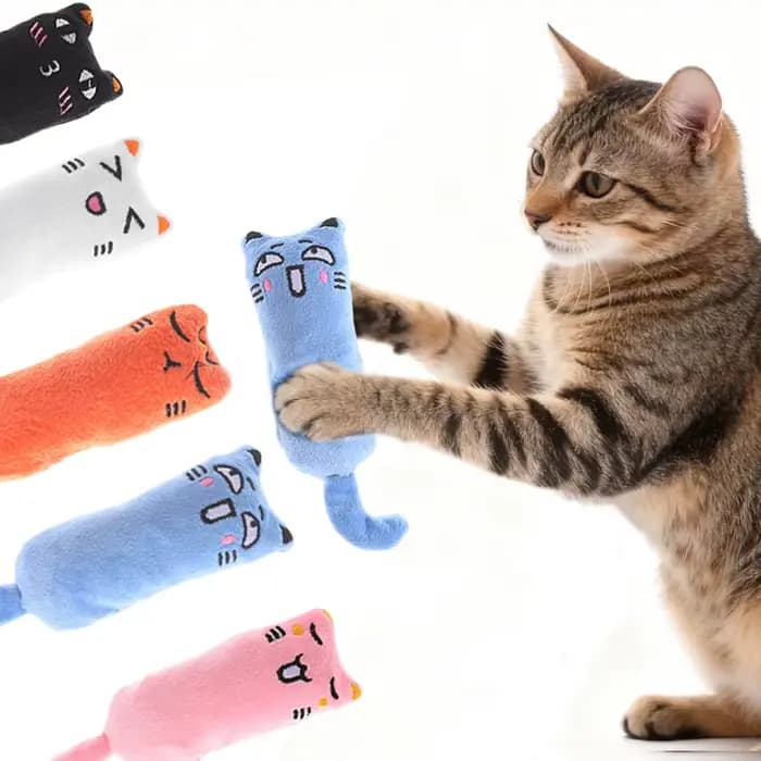 Jouet interactif en peluche pour chat