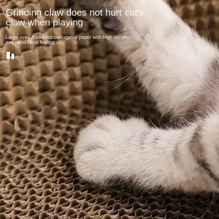 Planche à gratter pour chat
