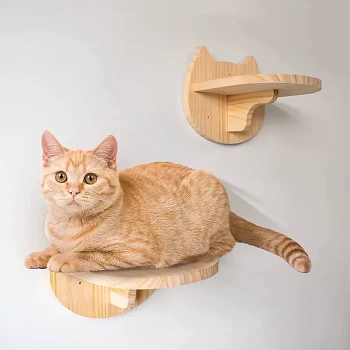 Étagère d'escalade murale pour chat