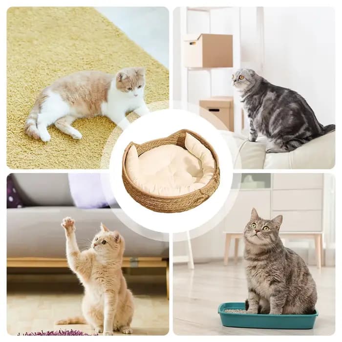 Panier pour chat en corde de coton