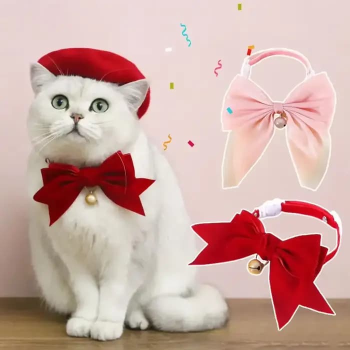 Collier pour animaux de compagnie exquis