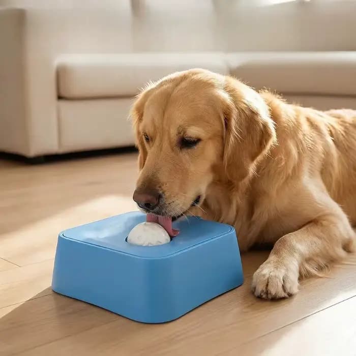Bol carré anti-déversement pour animaux de compagnie