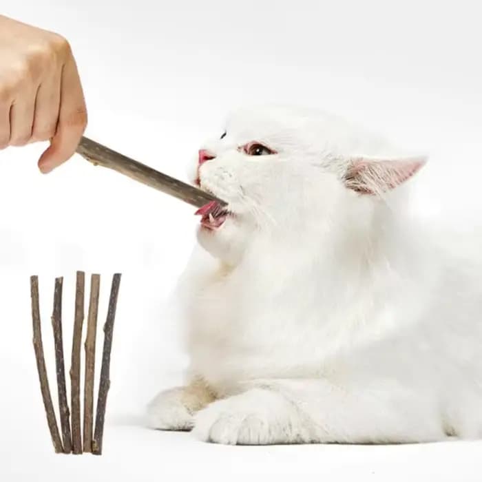 Bâtonnets à mâcher en herbe naturelle pour chats