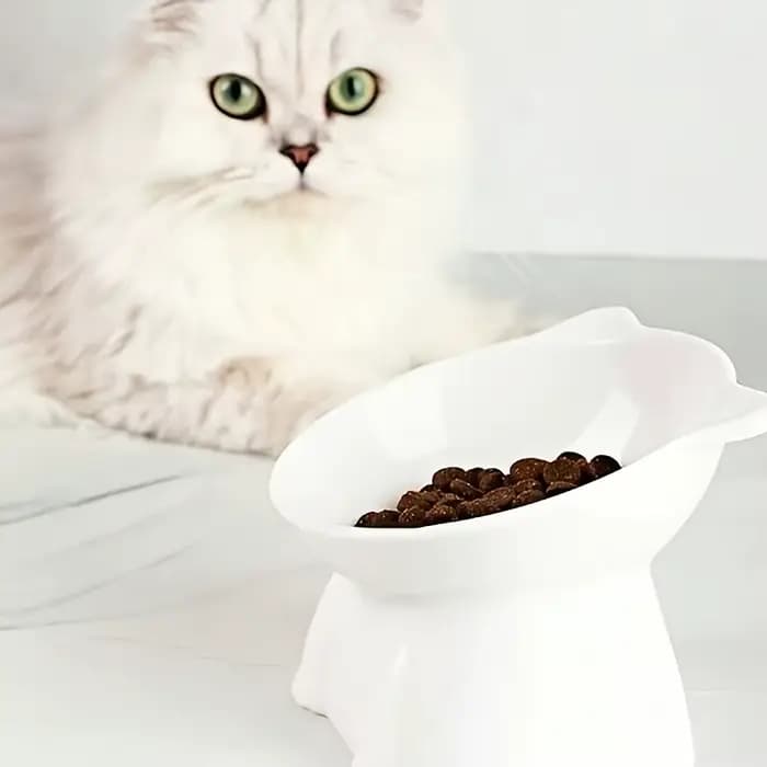 Bol pour chat 1 pièce, plateau Anti-vomissement incliné à 15 degrés