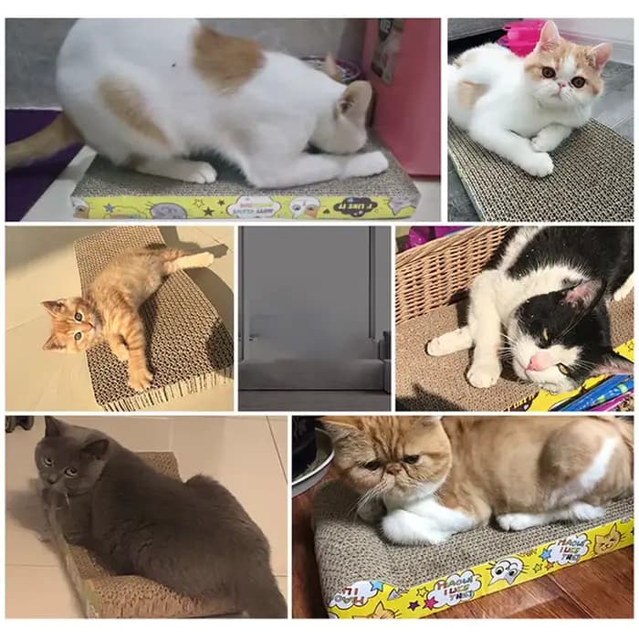 Jouets pour chat grattoir