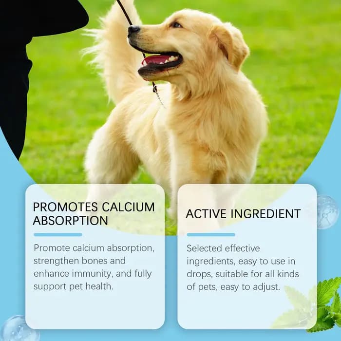 Gouttes de supplément de vitamines pour animaux de compagnie