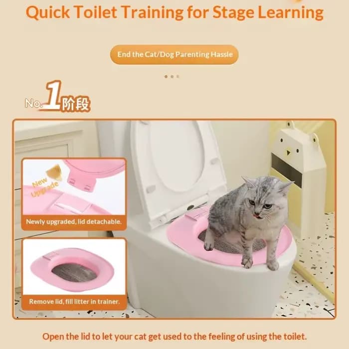 Meilleur kit d'apprentissage de la propreté pour chat en plastique