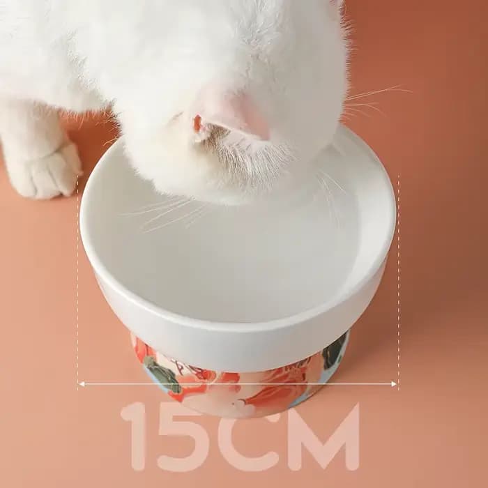 Bol en céramique pour chat de Style chinois