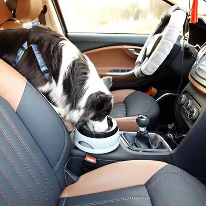 Bol à eau anti-déversement pour animaux de compagnie