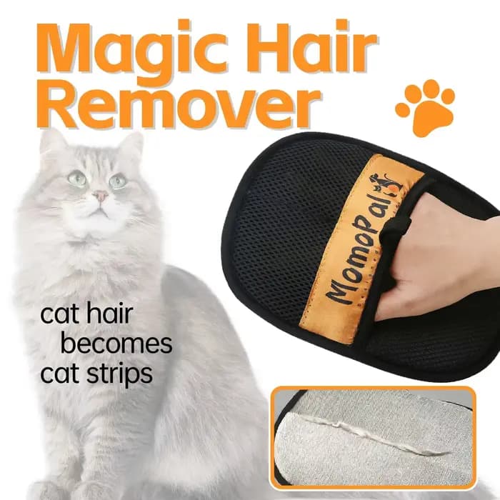 Gants de toilettage pour animaux de compagnie