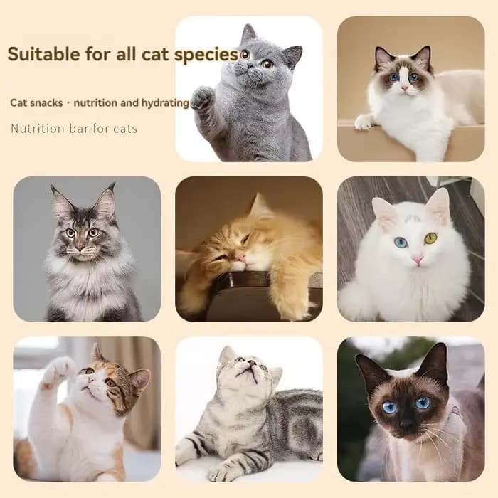 Bandes alimentaires universelles pour chat