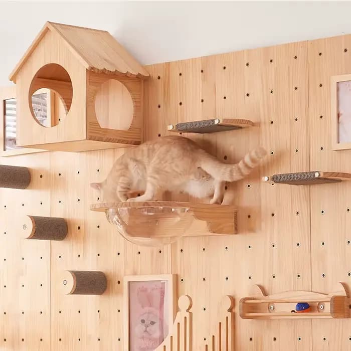 Produit pour animaux de compagnie : Arbre à chat, Tour à chat, Meubles, Condo, Maison, Perchoirs, Étagères murales, Étagères murales d'escalade pour chats