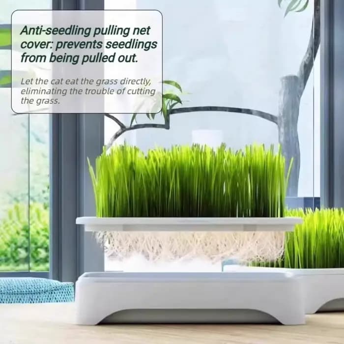 Pot de culture hydroponique sans terre pour herbe à chat d'intérieur