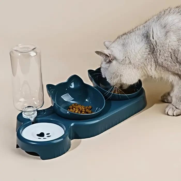 Bols pour animaux de compagnie avec mangeoire à eau