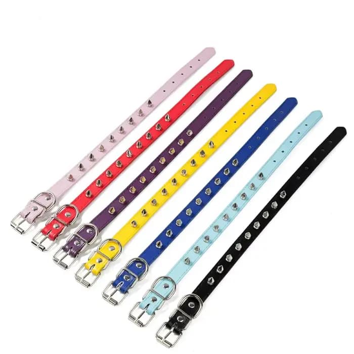 Collier en cuir confortable pour chien et chat