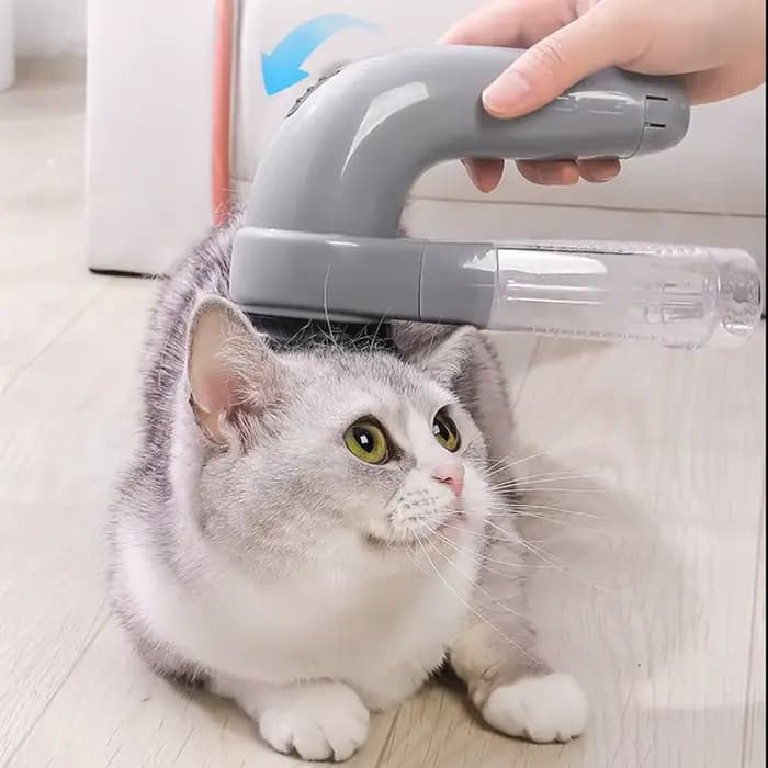Aspirateur électrique Portable pour poils de chat et de chien