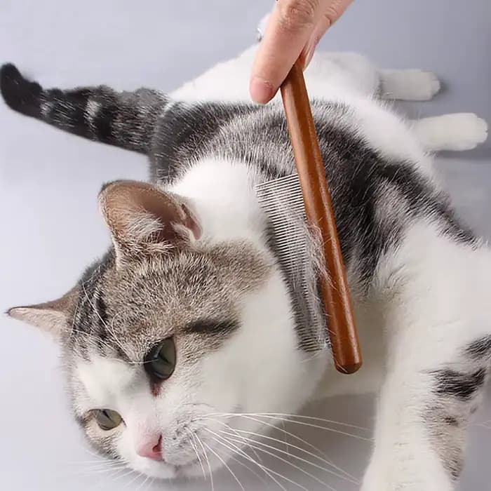 Peigne pour chat, brosse en bois, dissolvant de poils d'animaux, brosse de Massage pour chats, peignes de toilettage pour chats, ouverture des nœuds, brosses pour chiens