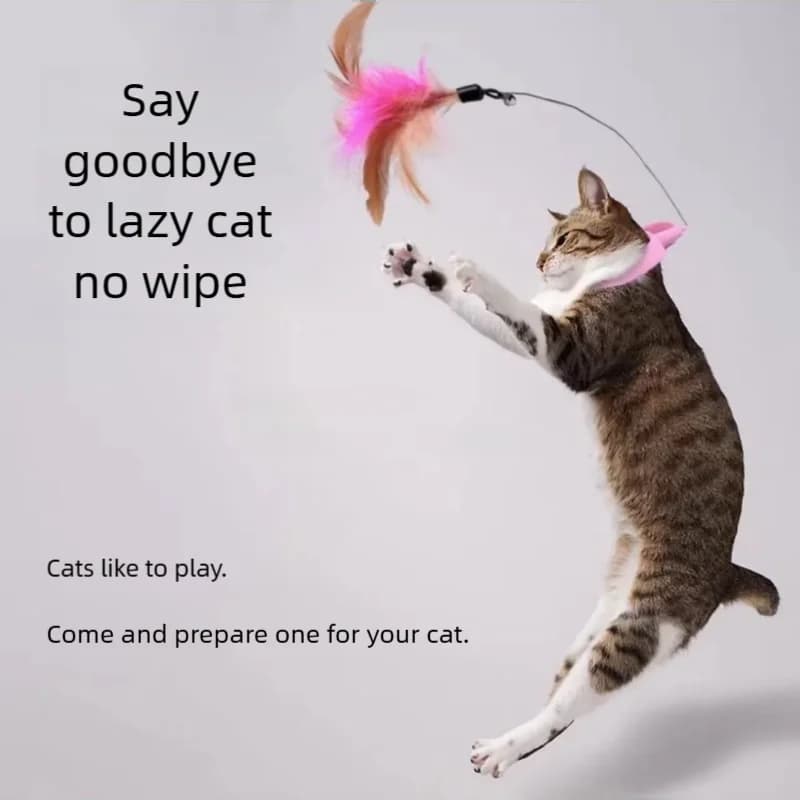 Nouveau produit : Collier jouet pour chat à plumes et clochette, pour auto-entretenement, Fournitures pour animaux de compagnie