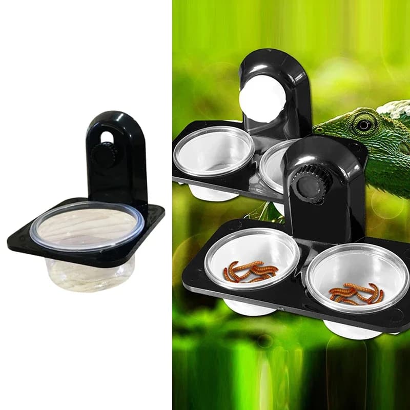 Support d'alimentation en plastique pour reptiles Gecko, bol d'alimentation peu encombrant avec bol, récipient alimentaire, fournitures pour animaux de compagnie, supports d'alimentation pour reptiles