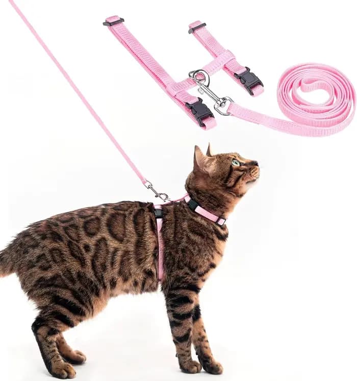 Harnais et laisse pour chat, anti-évasion, sangle en nylon réglable, collier, harnais de type H pour chats, chatons, chiots, accessoires pour animaux de compagnie