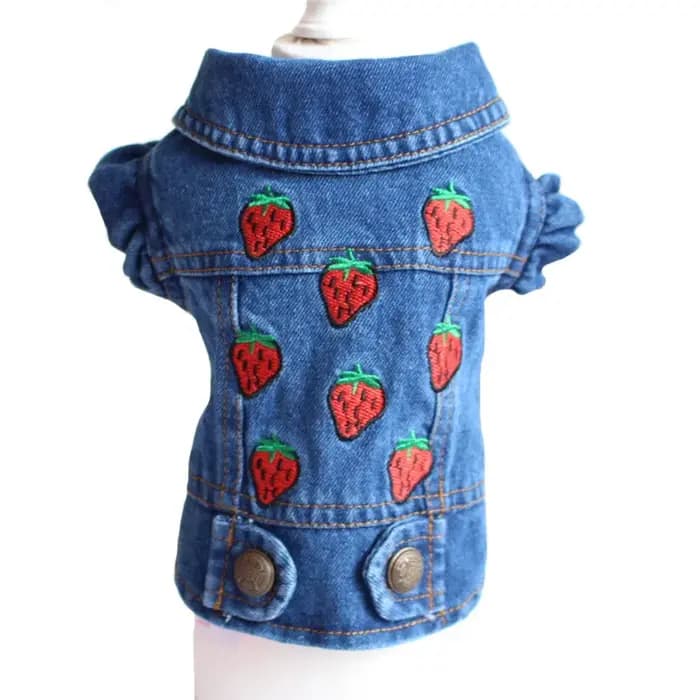Veste de Cowboy élégante pour chien