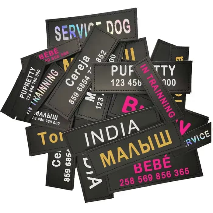 Étiquette autocollante réfléchissante avec nom de chien, 2 pièces, pour collier de harnais pour anim