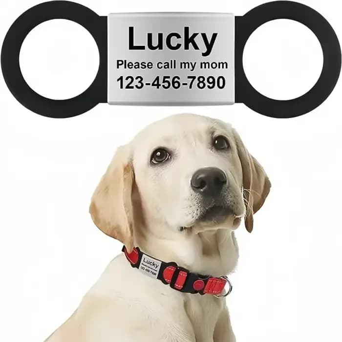 Collier personnalisé pour chien et chat, étiquette gravée, breloque avec nom, pendentif Bne, porte-c