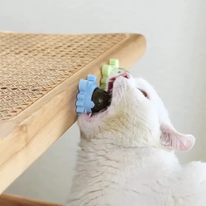 Tirets pour animaux de compagnie chat sain herbe-aux-chats jouets balle