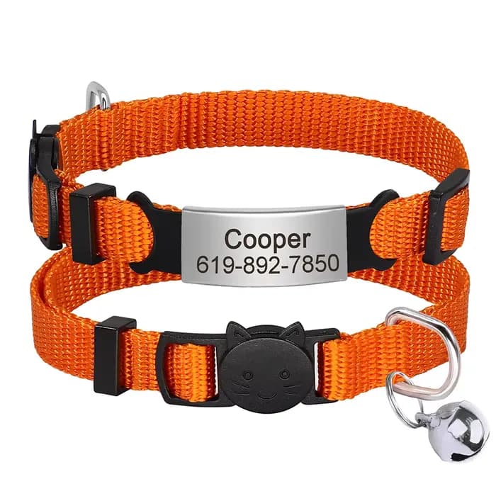 Collier de chat avec plaque signalétique personnalisée, collier de sécurité personnalisé pour chat,
