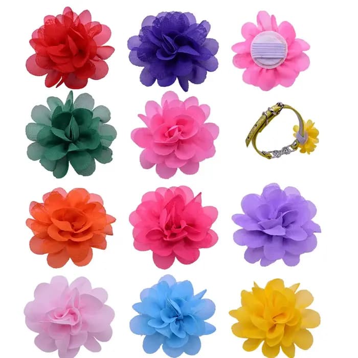 Accessoires pour petits chiens